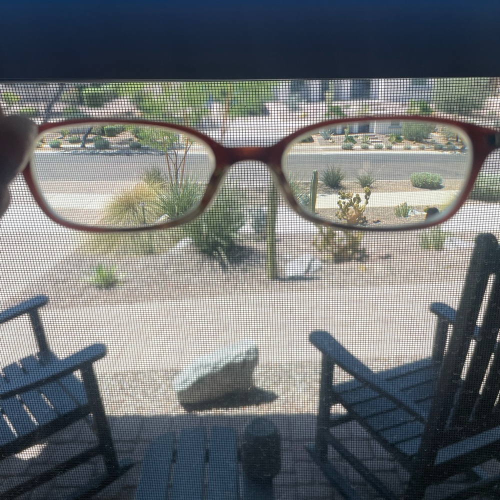Prescription Glasses - Picture 4 of 10